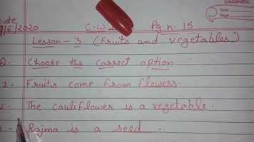 Free download Choose the correct option video and edit with RedcoolMedia movie maker MovieStudio video editor online and AudioStudio audio editor onlin