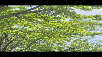 Free download CHOSENJU MOVIE CLIP.mp4 video and edit with RedcoolMedia movie maker MovieStudio video editor online and AudioStudio audio editor onlin