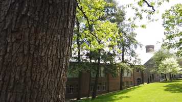 Free download Chosen Trailer (for public) REAL ONE video and edit with RedcoolMedia movie maker MovieStudio video editor online and AudioStudio audio editor onlin