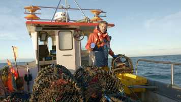 Free download Chowder Film Third Revision14_1_20 video and edit with RedcoolMedia movie maker MovieStudio video editor online and AudioStudio audio editor onlin