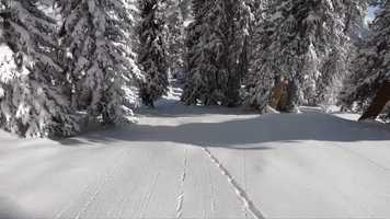 Free download Chris Anthony Feb 18th, 2020 Mikaela Song by Carlo video and edit with RedcoolMedia movie maker MovieStudio video editor online and AudioStudio audio editor onlin