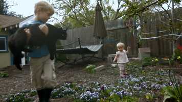 Free download Chris Vibberts - Passage (Music from the Film Why Not Home?) video and edit with RedcoolMedia movie maker MovieStudio video editor online and AudioStudio audio editor onlin