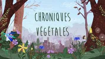 Free download Chroniques Végétales - teaser animation video and edit with RedcoolMedia movie maker MovieStudio video editor online and AudioStudio audio editor onlin