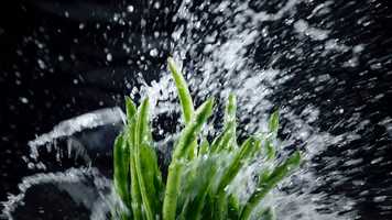 Free download CH_Showreel_2019 video and edit with RedcoolMedia movie maker MovieStudio video editor online and AudioStudio audio editor onlin