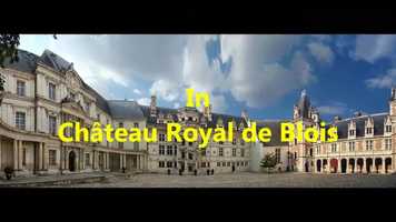 Free download Chteau Royal de Blois Dinosaurs? video and edit with RedcoolMedia movie maker MovieStudio video editor online and AudioStudio audio editor onlin