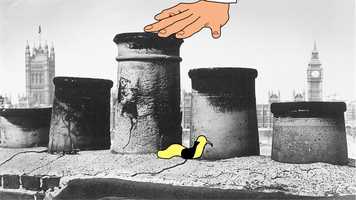 Free download Cicely Pilkington Background Animation video and edit with RedcoolMedia movie maker MovieStudio video editor online and AudioStudio audio editor onlin