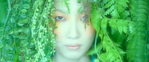 Free download Cifika 지금이 아니면 Music Video video and edit with RedcoolMedia movie maker MovieStudio video editor online and AudioStudio audio editor onlin