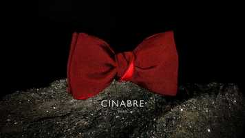 Free download Cinabre - Nud papillon video and edit with RedcoolMedia movie maker MovieStudio video editor online and AudioStudio audio editor onlin