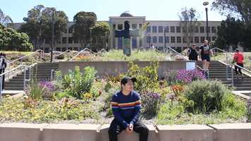 Free download CINE 24 STUDENTS AT CCSF.mp4 video and edit with RedcoolMedia movie maker MovieStudio video editor online and AudioStudio audio editor onlin