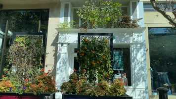 Free download Cine Assignment #2- COVID video and edit with RedcoolMedia movie maker MovieStudio video editor online and AudioStudio audio editor onlin