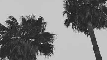 Free download CineContemporaneo-A01206222 video and edit with RedcoolMedia movie maker MovieStudio video editor online and AudioStudio audio editor onlin