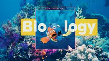 Free download Cinema Classroom video and edit with RedcoolMedia movie maker MovieStudio video editor online and AudioStudio audio editor onlin