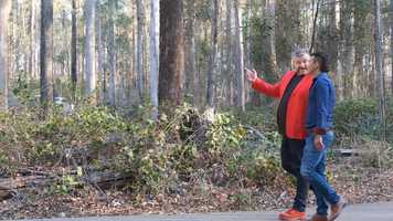 Free download Cinema final video video and edit with RedcoolMedia movie maker MovieStudio video editor online and AudioStudio audio editor onlin