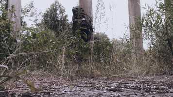 Free download Cinematographer showreel 2019 | DOP Hubert Bąk video and edit with RedcoolMedia movie maker MovieStudio video editor online and AudioStudio audio editor onlin