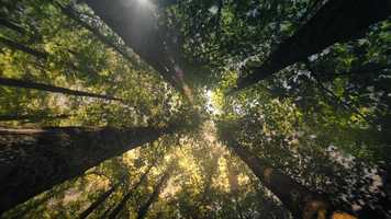 Free download CINFA Respibien Freshmint La LLAMADA video and edit with RedcoolMedia movie maker MovieStudio video editor online and AudioStudio audio editor onlin