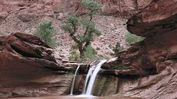 Free download Circle Dance - Ashira Morgenstern video and edit with RedcoolMedia movie maker MovieStudio video editor online and AudioStudio audio editor onlin