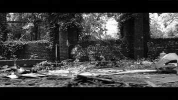 Free download City Safari in Charleroi video and edit with RedcoolMedia movie maker MovieStudio video editor online and AudioStudio audio editor onlin