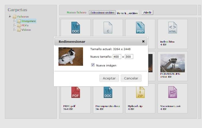 Download web tool or web app CKEditor File and Image Manager