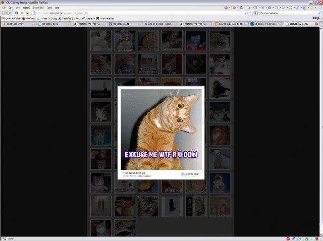 Download web tool or web app CK-Gallery Download web tool or web app CK-Gallery