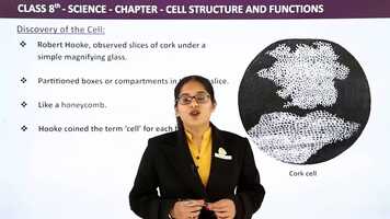 Free download Class 8 Science 111 MB.mp4 video and edit with RedcoolMedia movie maker MovieStudio video editor online and AudioStudio audio editor onlin