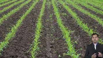 Free download Class 8 Science video and edit with RedcoolMedia movie maker MovieStudio video editor online and AudioStudio audio editor onlin