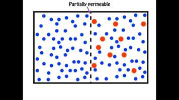 Free download class8_science__Transport_in_plants_ video and edit with RedcoolMedia movie maker MovieStudio video editor online and AudioStudio audio editor onlin