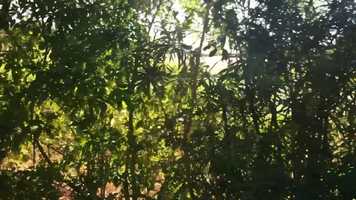 Free download Clay mp4 video and edit with RedcoolMedia movie maker MovieStudio video editor online and AudioStudio audio editor onlin