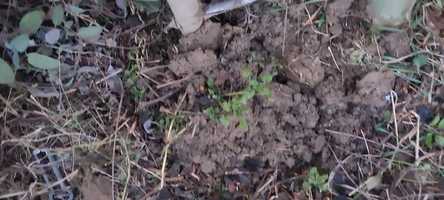 Free download Clear sky, dirty hands video and edit with RedcoolMedia movie maker MovieStudio video editor online and AudioStudio audio editor onlin