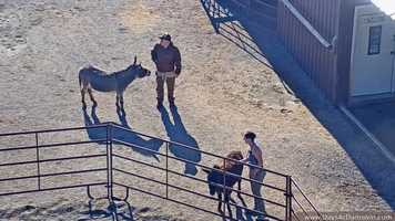 Free download Clicking with the Divas 07-2-2020 video and edit with RedcoolMedia movie maker MovieStudio video editor online and AudioStudio audio editor onlin