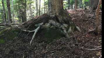 Free download Climate Strike - Randolph, Vermont video and edit with RedcoolMedia movie maker MovieStudio video editor online and AudioStudio audio editor onlin