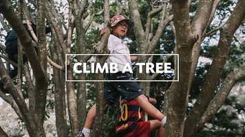 Free download Climb a Tree video and edit with RedcoolMedia movie maker MovieStudio video editor online and AudioStudio audio editor onlin