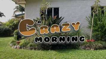 Free download ClintonNightingale-Ass#3-FINAL-A Crazy Morning video and edit with RedcoolMedia movie maker MovieStudio video editor online and AudioStudio audio editor onlin