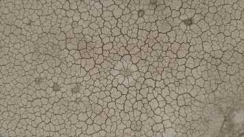 Free download Clinton, UTAH B-Epic Network Elev8 Avid Boosts Elastin Health | Opening: TX TN SD SC RI PA OR | video and edit with RedcoolMedia movie maker MovieStudio video editor online and AudioStudio audio editor onlin