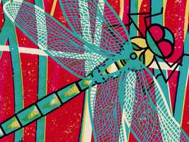 Free download Clips and Sketches 17-18 video and edit with RedcoolMedia movie maker MovieStudio video editor online and AudioStudio audio editor onlin