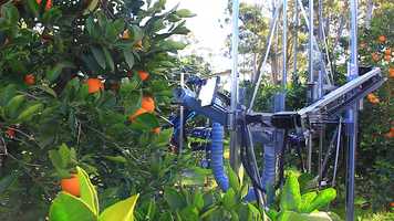 Free download Clive Picking Some Oranges In The Hawkesbury video and edit with RedcoolMedia movie maker MovieStudio video editor online and AudioStudio audio editor onlin