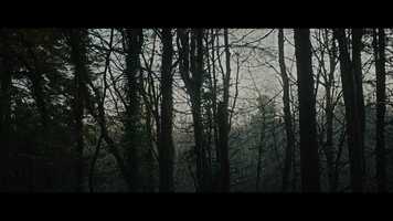 Free download Clondorca Trailer video and edit with RedcoolMedia movie maker MovieStudio video editor online and AudioStudio audio editor onlin