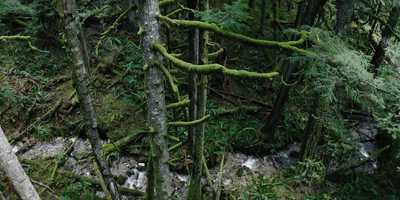 Free download Coastal Loam With a Hint of Dirt video and edit with RedcoolMedia movie maker MovieStudio video editor online and AudioStudio audio editor onlin