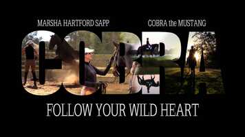 Free download Cobra the Mustang, Follow Your Wild Heart Trailer -  Equus International Film Festival 2021 video and edit with RedcoolMedia movie maker MovieStudio video editor online and AudioStudio audio editor onlin
