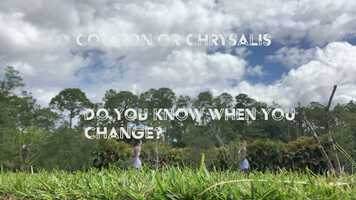 Free download Cocoon or Chrysalis- Inside to Out video and edit with RedcoolMedia movie maker MovieStudio video editor online and AudioStudio audio editor onlin