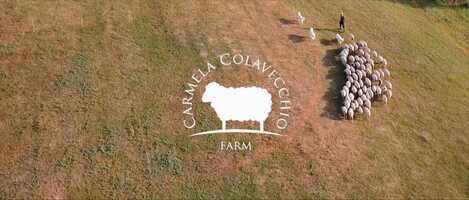 Free download Colavecchio farm short video and edit with RedcoolMedia movie maker MovieStudio video editor online and AudioStudio audio editor onlin