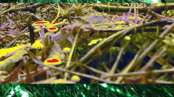 Free download cold cold nevers evers video and edit with RedcoolMedia movie maker MovieStudio video editor online and AudioStudio audio editor onlin