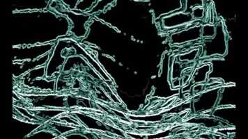 Free download Cold video and edit with RedcoolMedia movie maker MovieStudio video editor online and AudioStudio audio editor onlin