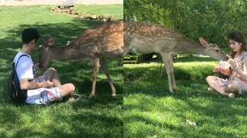 Free download Colin  Melody video and edit with RedcoolMedia movie maker MovieStudio video editor online and AudioStudio audio editor onlin