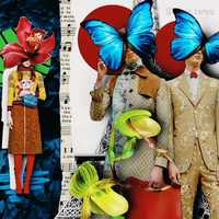 Free download Collage animation, After Effects 3d video and edit with RedcoolMedia movie maker MovieStudio video editor online and AudioStudio audio editor onlin