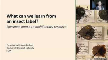 Free download Collections Education Coffee Break Series: What Can We Learn From an Insect Specimen Label? video and edit with RedcoolMedia movie maker MovieStudio video editor online and AudioStudio audio editor onlin