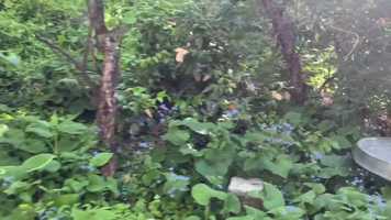 Free download Collision Music Video video and edit with RedcoolMedia movie maker MovieStudio video editor online and AudioStudio audio editor onlin