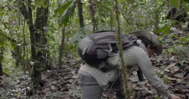 Free download Colombia Bio - Tacarcuna_ Trailer video and edit with RedcoolMedia movie maker MovieStudio video editor online and AudioStudio audio editor onlin