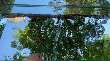 Free download Colony- short film video and edit with RedcoolMedia movie maker MovieStudio video editor online and AudioStudio audio editor onlin