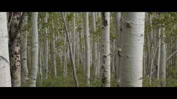 Free download Colorado Day Trip video and edit with RedcoolMedia movie maker MovieStudio video editor online and AudioStudio audio editor onlin