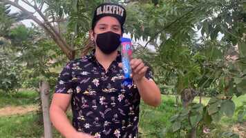 Free download ColOreo By Magik Time  Stefanus Alexander video DOWNLOAD video and edit with RedcoolMedia movie maker MovieStudio video editor online and AudioStudio audio editor onlin